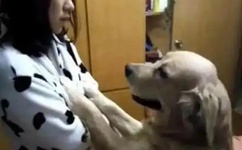 上课夹了一节课的跳D